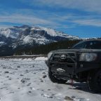 Taco’s got grillz…and…floss? – Tacoma’s Bumper and Winch